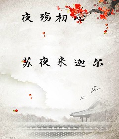 夜殇初心