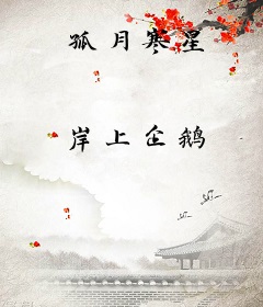 孤月寒星