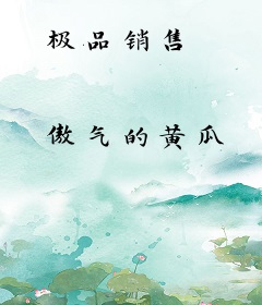 极品销售