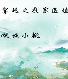 穿越之农家医媳