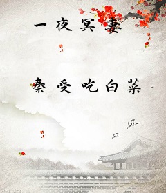 一夜冥妻