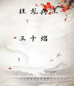 狂龙兵王
