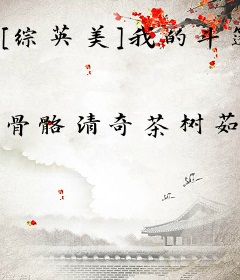 [综英美]我的斗篷好像有点问题