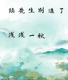 陆先生别追了