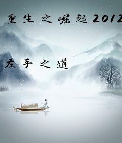 重生之崛起2012
