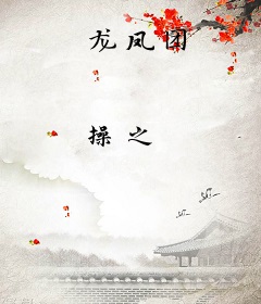 龙凤团