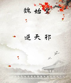 魏始皇