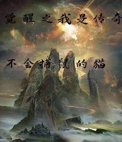觉醒之我是传奇