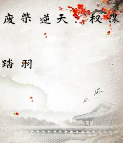 废柴逆天：权谋王妃