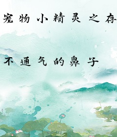 宠物小精灵之存档超人