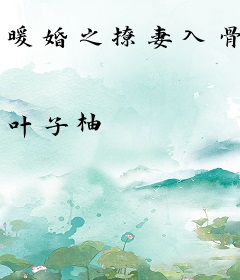 暖婚之撩妻入骨