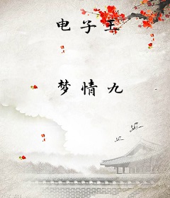 电子王