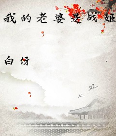 我的老婆是战姬