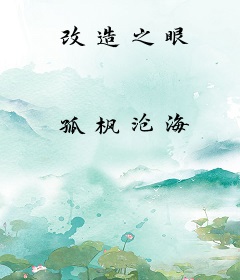 改造之眼
