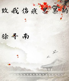 致我伤痕累累的过去