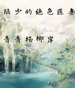 陆少的绝色医妻
