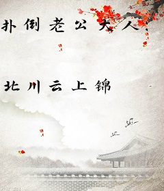 扑倒老公大人：龙总，我爱你！