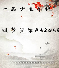 一品少主系统