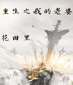 重生之我的老婆是明星