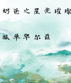 奶爸之星光璀璨