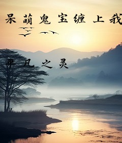 呆萌鬼宝缠上我