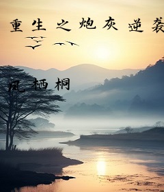 重生之炮灰逆袭