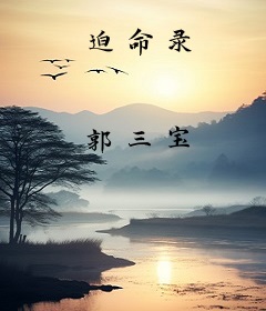 迫命录