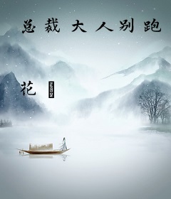 总裁大人别跑