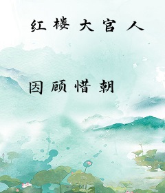 红楼大官人