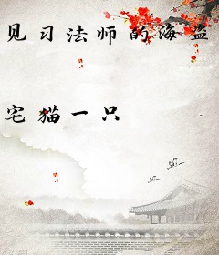 见习法师的海盗日记