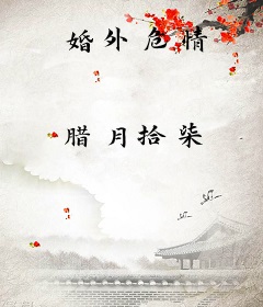 婚外危情