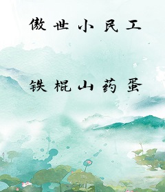傲世小民工