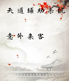 天道辅助系统