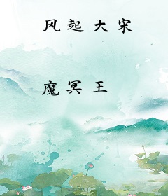 风起大宋