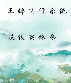 王牌飞行系统