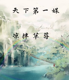 天下第一媒