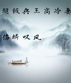 超级兵王高冷妻