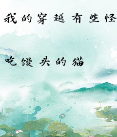 我的穿越有些怪