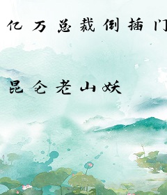 亿万总裁倒插门
