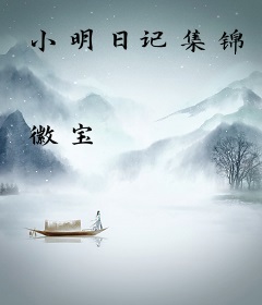 小明日记集锦