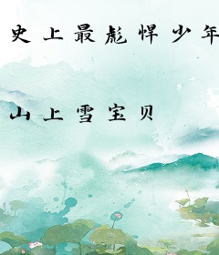 史上最彪悍少年