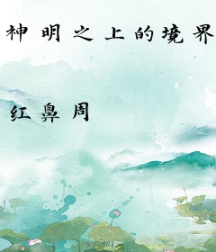 神明之上的境界