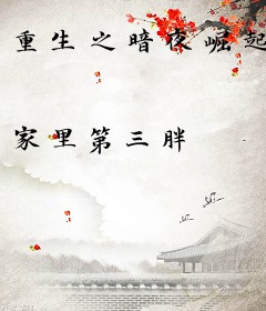 重生之暗夜崛起