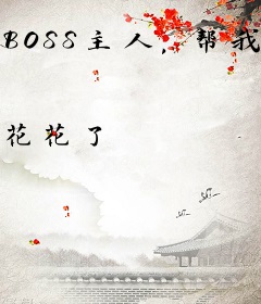BOSS主人，帮我充充电