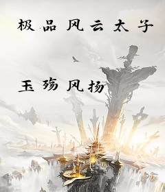 极品风云太子