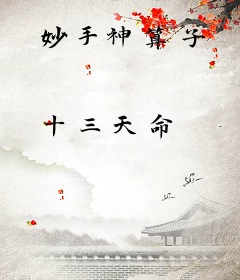 妙手神算子