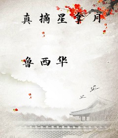 真摘星拿月