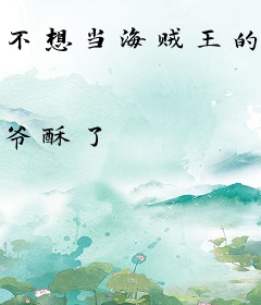 不想当海贼王的剑豪大人