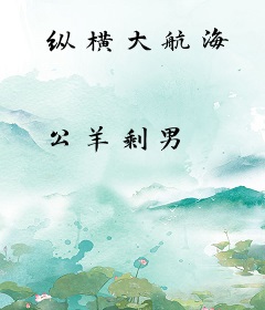 纵横大航海