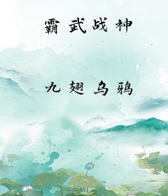 霸武战神